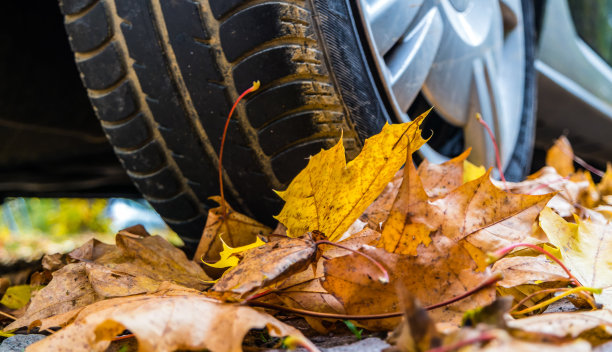 秋季注意道路交通图片下载