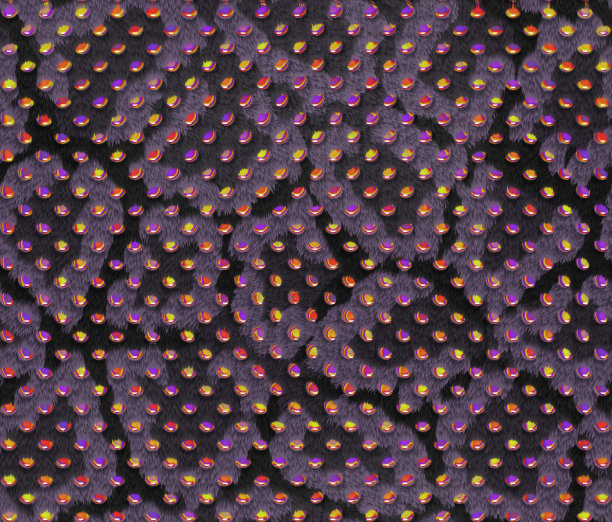 黑色豹纹毛皮，有不同形状的紫色斑点和五颜六色的宝石。无缝模式图片下载