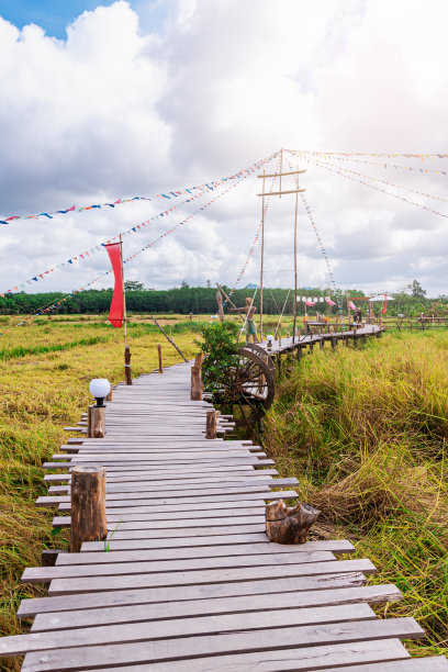 木桥上有稻田，农业上有稻田，有天空和云彩图片下载