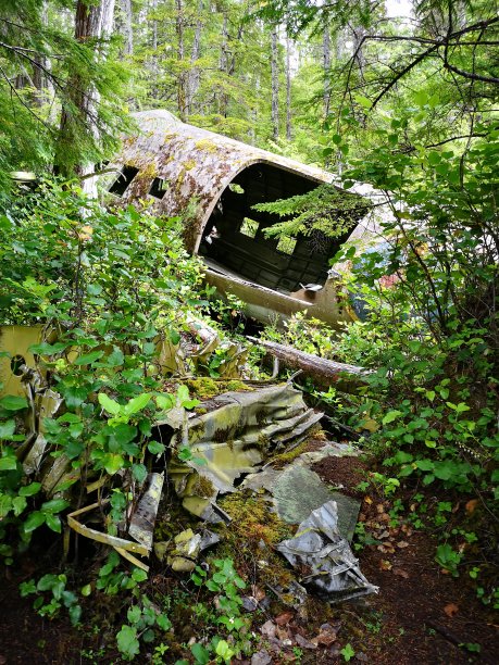 达科塔576 -坠机现场图片下载