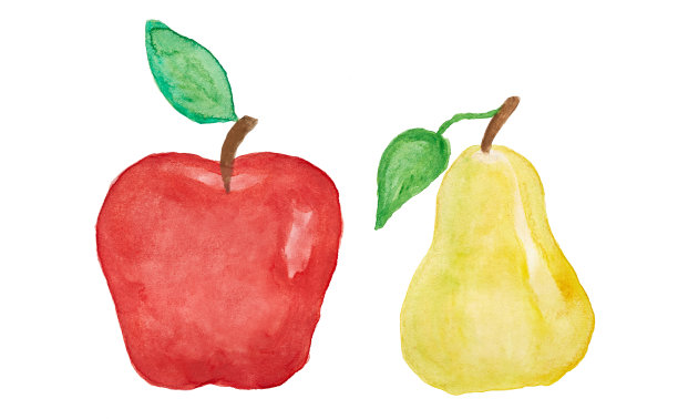 苹果和梨在一幅白色的水彩画上图片下载