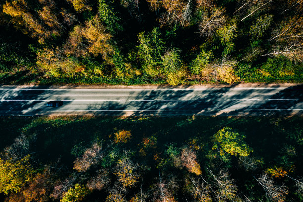 鸟瞰图的道路在秋天的森林。图片下载