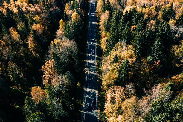 鸟瞰图的道路在秋天的森林。图片下载