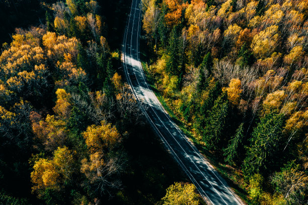 鸟瞰图的道路在秋天的森林。图片下载