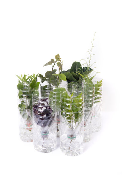 采用塑料瓶装，适用于各种植物育种。图片下载