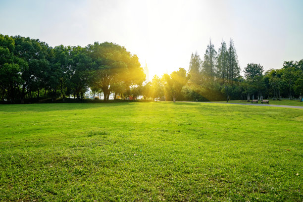 天气好，公园里有草坪图片下载