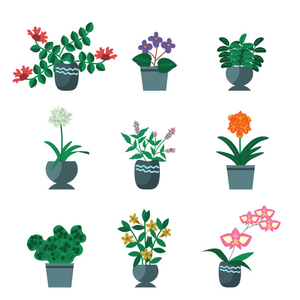 房子植物收集图片下载