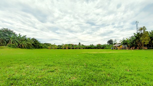 广阔的土地和花园图片下载