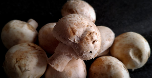 有机博览会上的新鲜蘑菇。图片下载