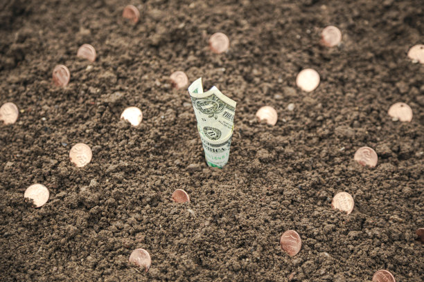 硬币与植物的顶部放在土壤在绿色的自然背景为企业增长的概念图片下载