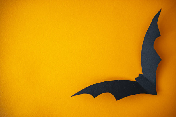 黑色的纸蝙蝠飞过橙色的背景图片下载