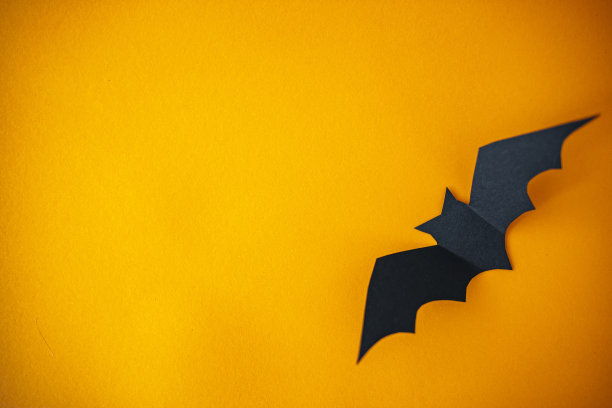 万圣节装饰在橙色的背景。图片下载