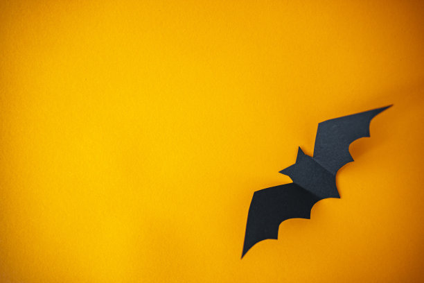 万圣节装饰纸图片下载