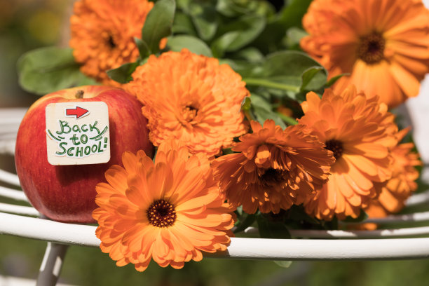 回到学校-概念。图片下载