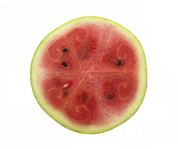 白色背景上对半的西瓜图片下载