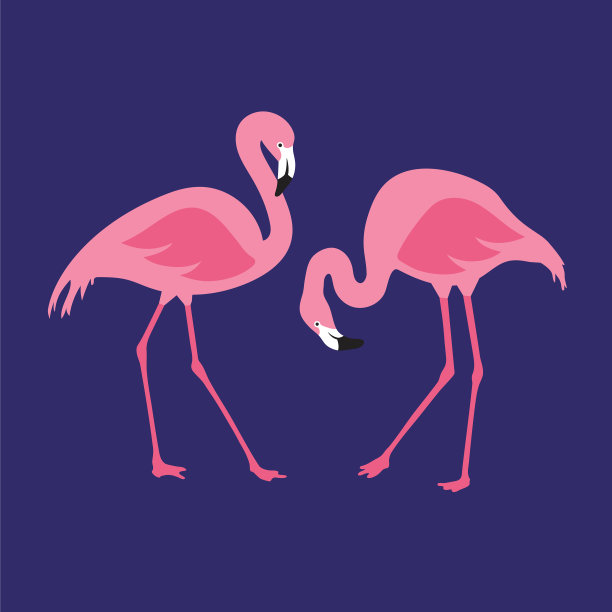 孤立的粉红色火烈鸟对手绘图片下载