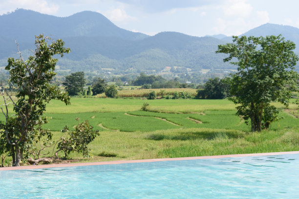 游泳池的别墅图片下载