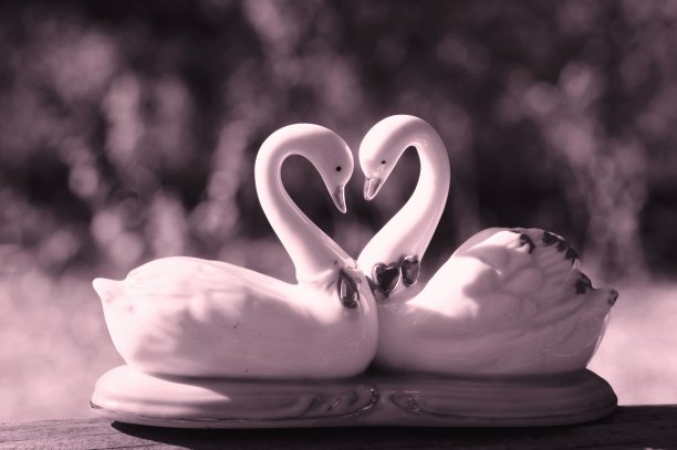 一对纪念品天鹅特写。图片下载