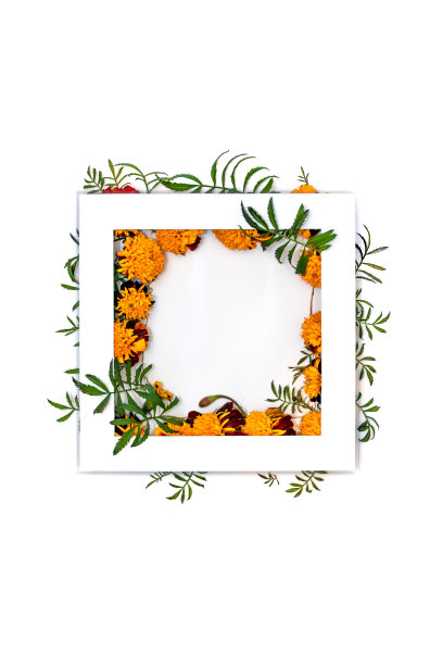 邀请/卡模板图片下载