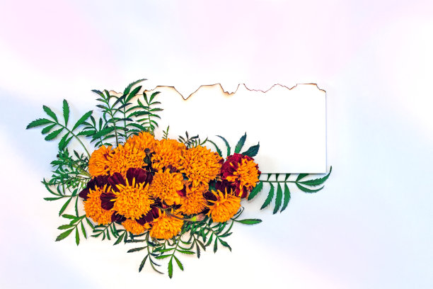 邀请/卡模板图片下载