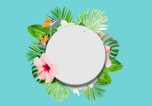 热带绿叶图片下载