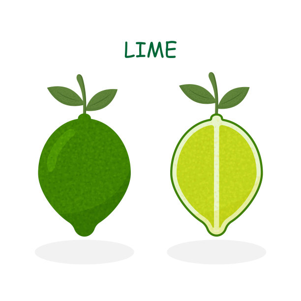 绿叶石灰图片下载