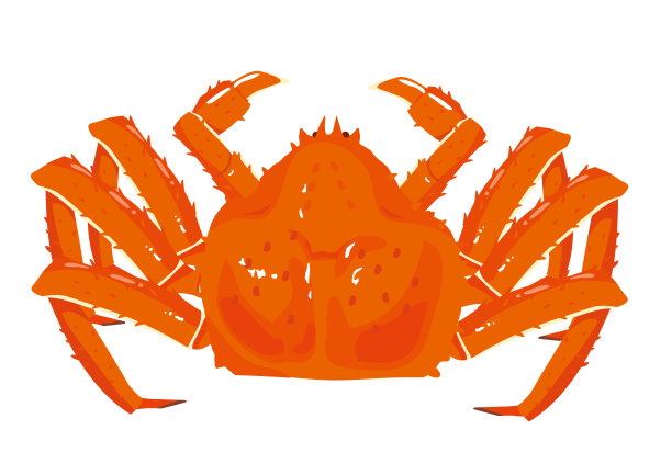 帝王蟹矢量图素材图片