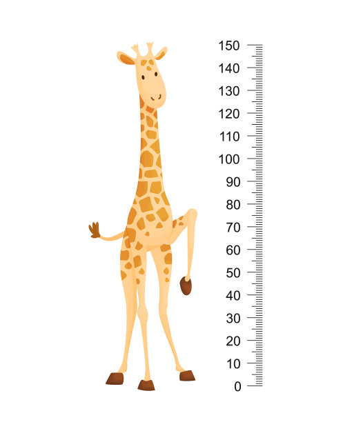 有趣的长颈鹿。快乐有趣的长脖子长颈鹿。长颈鹿米墙或高度图表或墙贴纸。插图从2到150厘米的比例来测量生长图片下载