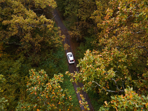 鸟瞰图的汽车在秋天的森林骑行小径图片下载