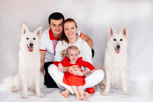 一家有两只白色的狗在工作室的白色背景。图片下载