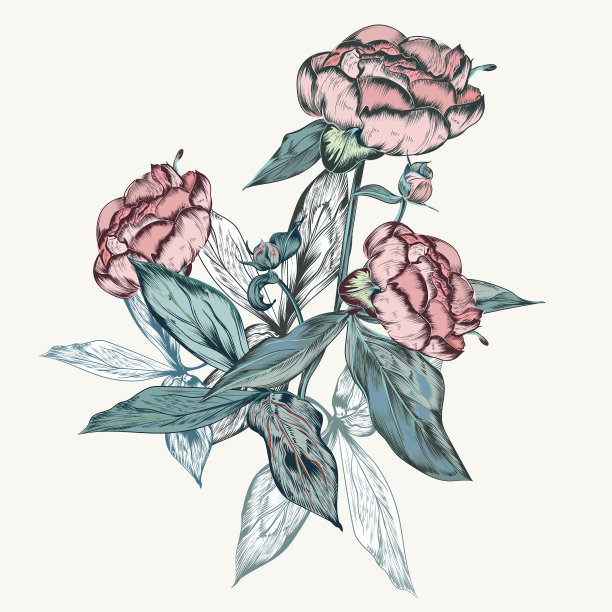 复古风格的植物复古牡丹图片下载
