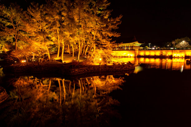 vd724东宫和Wolji夜景图片下载