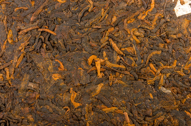 中国压普洱茶的包装纸，特写，宏观图片下载