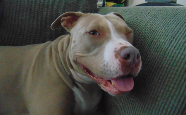 糖Sundaze图片下载