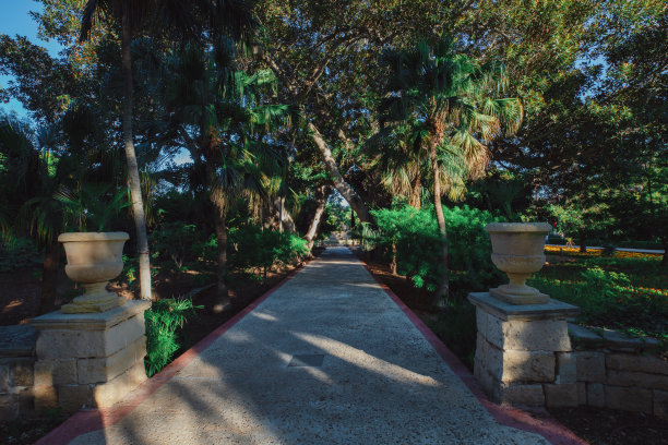 森林中令人惊叹和放松的道路。被树木环绕的徒步旅行路线人行道附近有一棵高大的老树。公园里的路图片下载