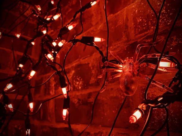 万圣节装饰图片下载