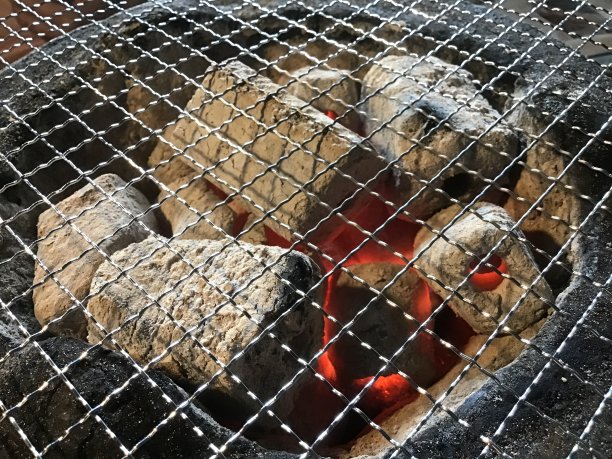 铁网和木炭火用于烤肉图片下载