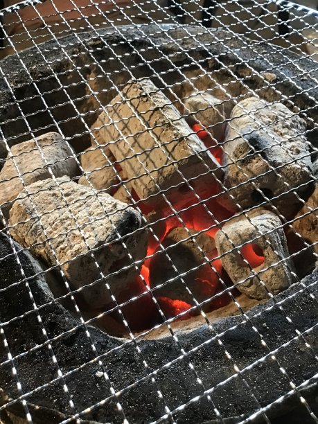 铁网和木炭火用于烤肉图片下载