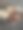 铁网和木炭火用于烤肉图片下载