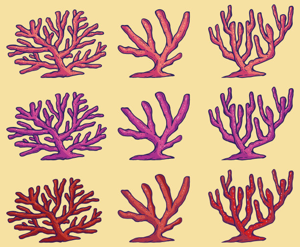 美丽的珊瑚线艺术插图图片下载