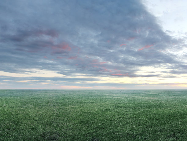 全景图像的绿色草地和多云的天空与copyspace图片下载