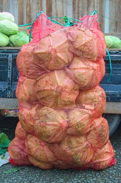 菜白菜照片图片下载