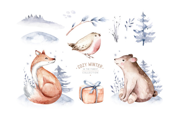 水彩冬季森林动物鹿与小鹿，猫头鹰兔子，熊鸟在白色的背景。野生森林狐狸和松鼠动物设置。手绘冬季插画图片下载