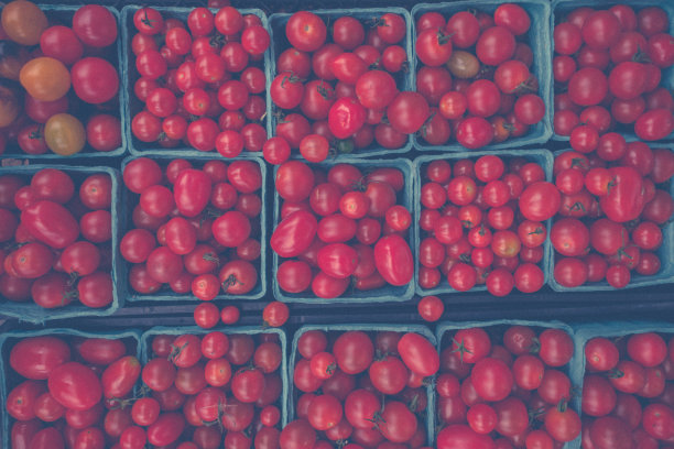 樱桃番茄图片下载