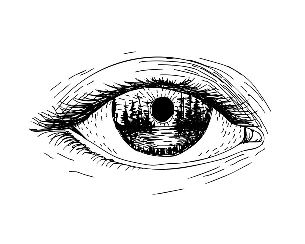 映照风景的眼睛图片下载