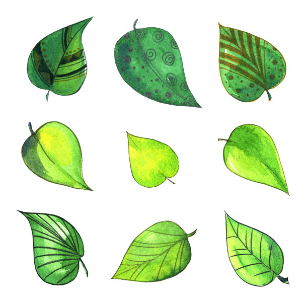 手淹死水彩叶子在白色背景孤立图片下载