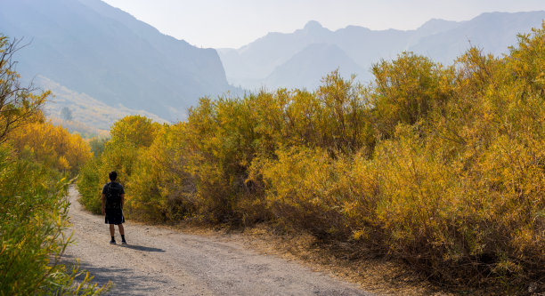 麦吉溪秋天的颜色图片下载