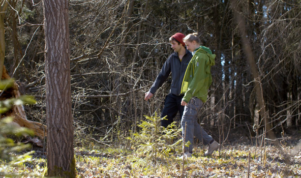 一对幸福的情侣在森林里散步图片下载