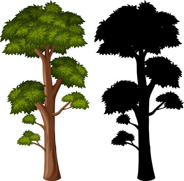 大树的剪影画在白色的上面图片下载