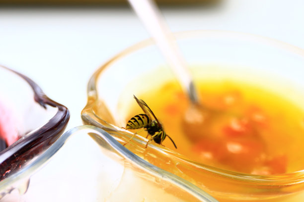 蜜蜂收集图片下载